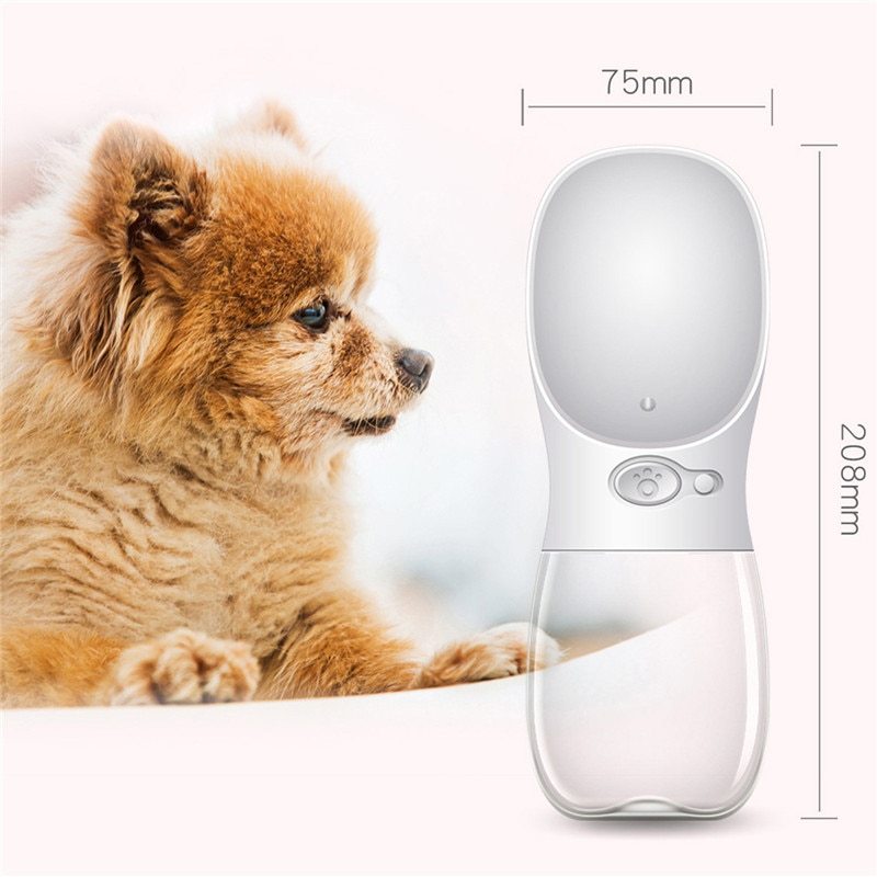 Outdoor Portable Water Bottle - Tail Waggers