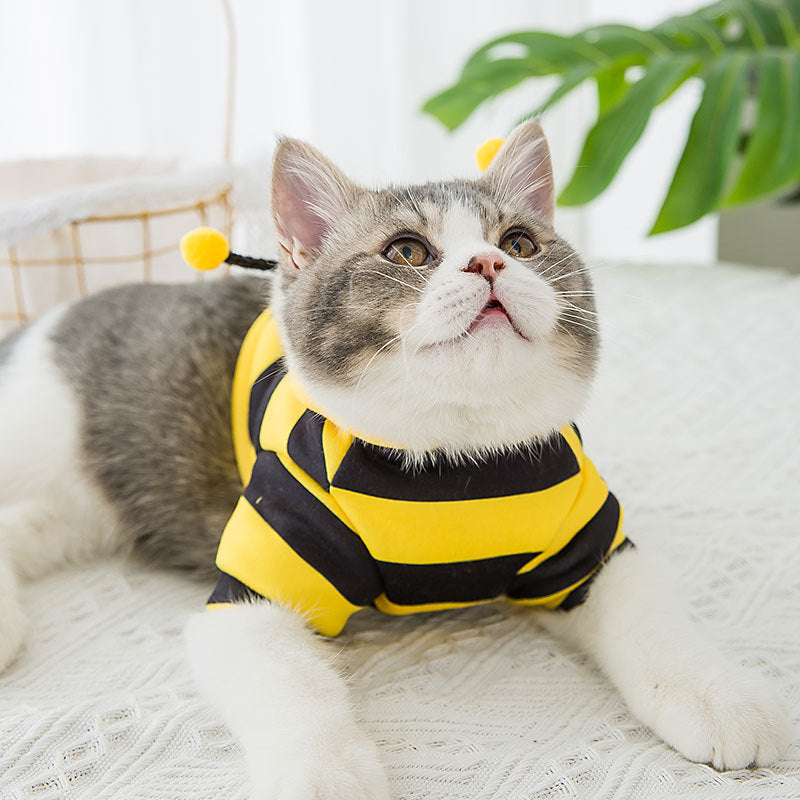 Honeybees Turned Into Pet Clothes - Tail Waggers