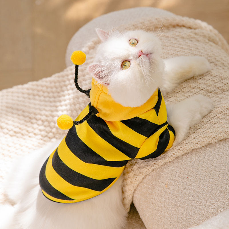 Honeybees Turned Into Pet Clothes - Tail Waggers