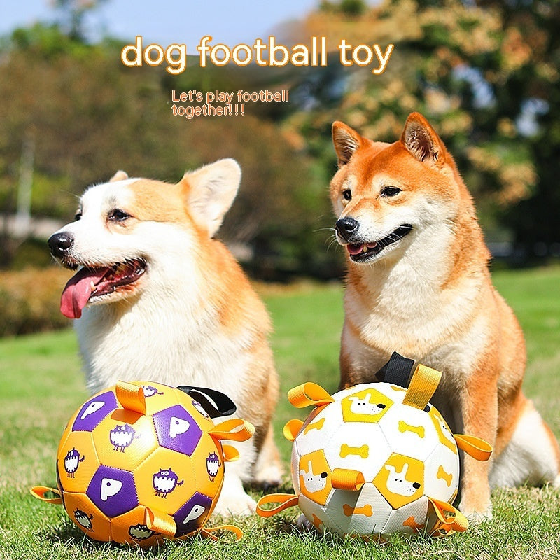 Interactive Dog Football Soccer Training Balls - Tail Waggers