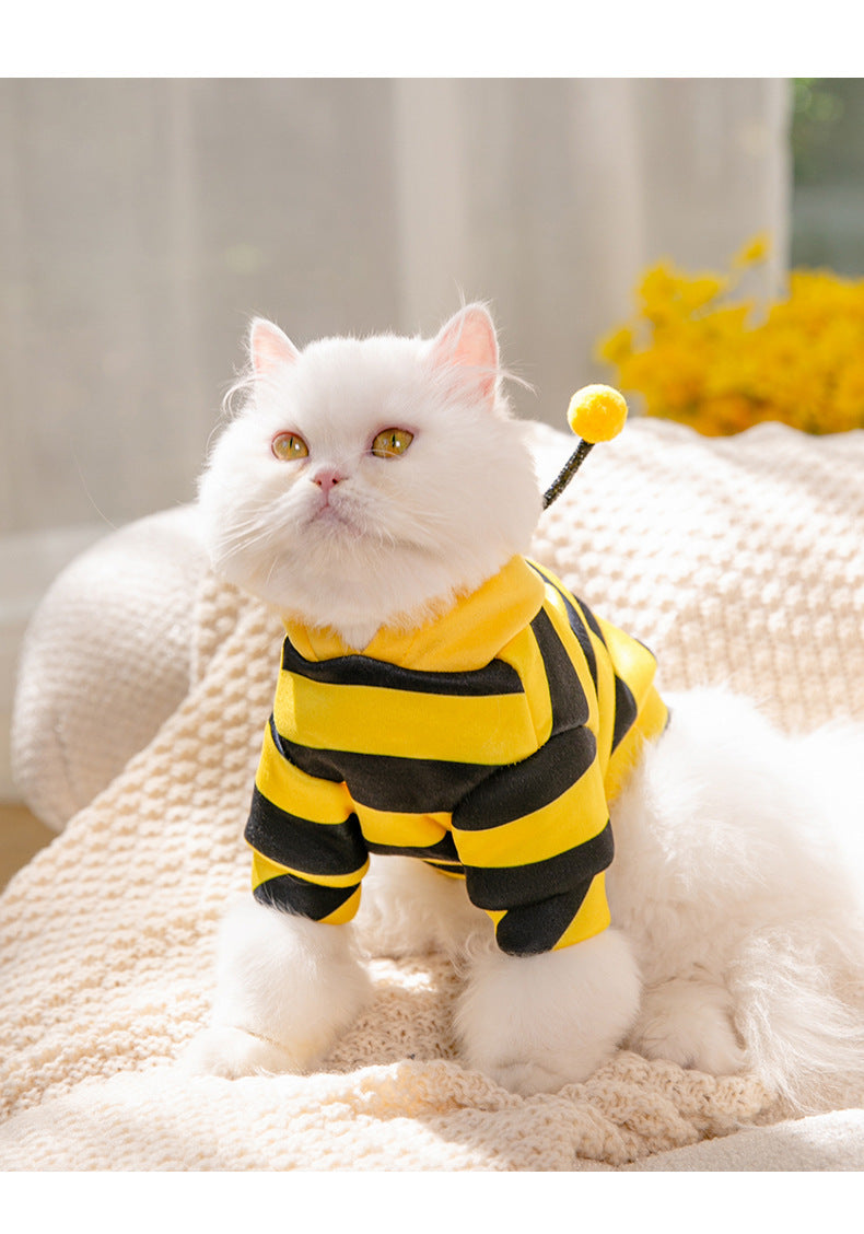 Honeybees Turned Into Pet Clothes - Tail Waggers