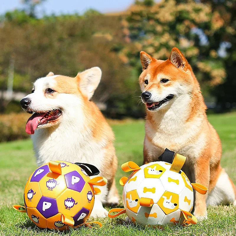 Interactive Dog Football Soccer Training Balls - Tail Waggers