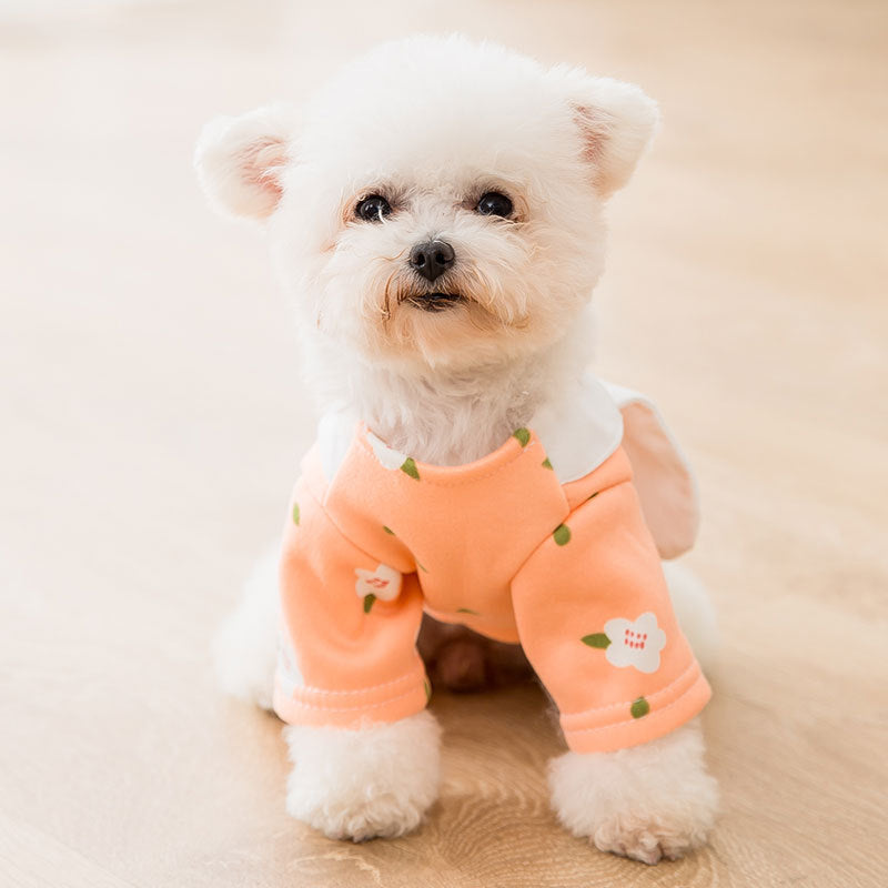 Little Rabbit Shaped Pet Sweatshirt - Tail Waggers