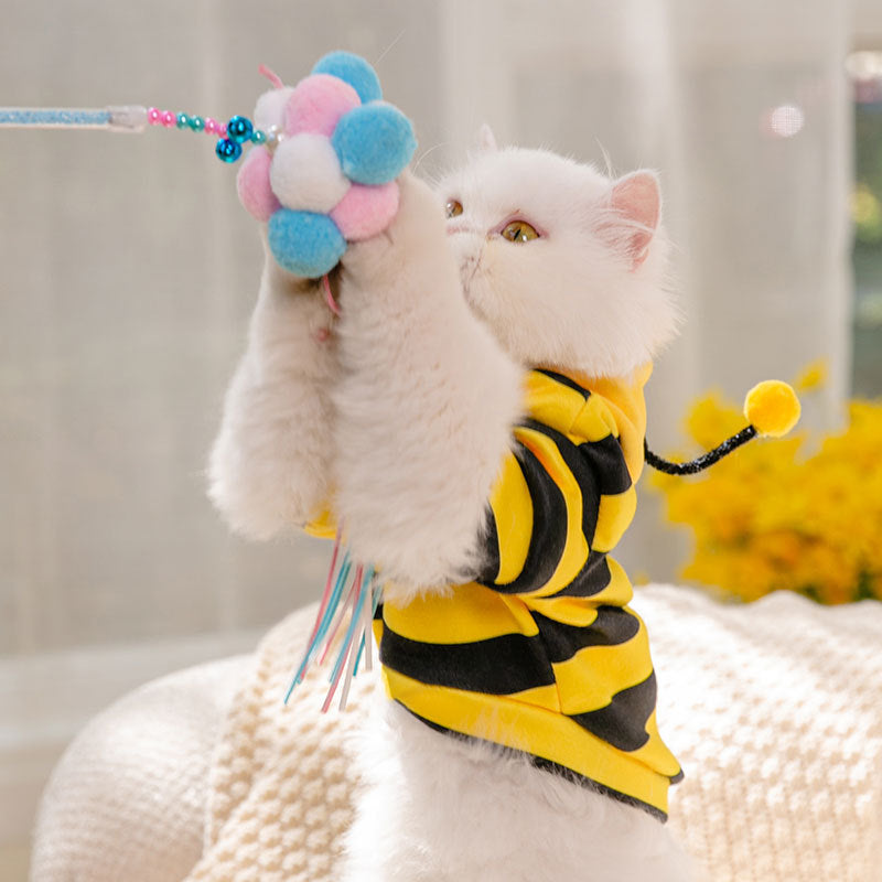 Honeybees Turned Into Pet Clothes - Tail Waggers