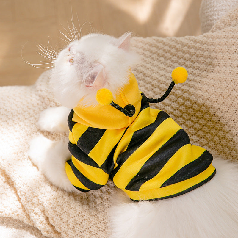 Honeybees Turned Into Pet Clothes - Tail Waggers