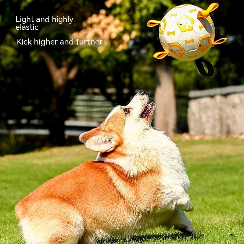 Interactive Dog Football Soccer Training Balls - Tail Waggers